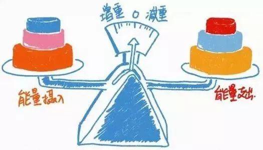 减肥智商税？你中招了吗！高强度无间隙运动，榨干你的脂肪