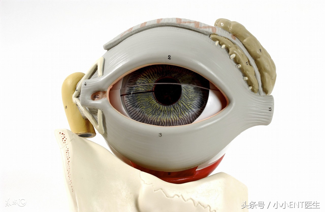 老看手机，天天对电脑，眼涩，视力下降，给你支个靠谱的招