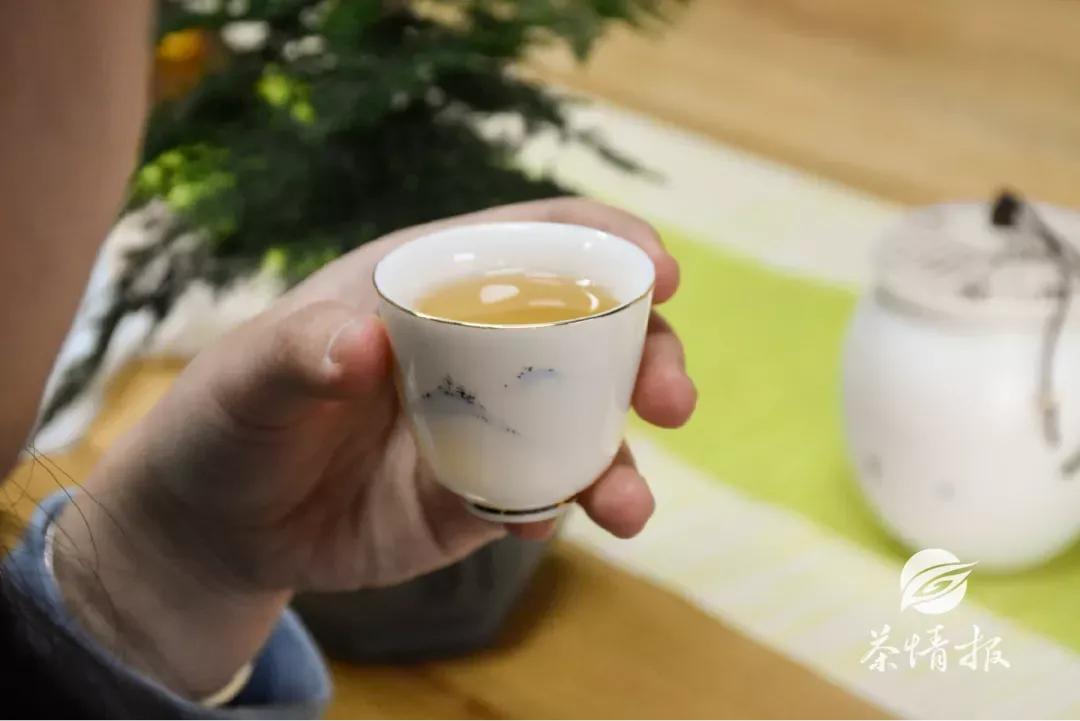 白茶如何冲泡