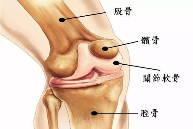求你了，别再这样跑步了？关于跑步你必须知道的3个护膝真相