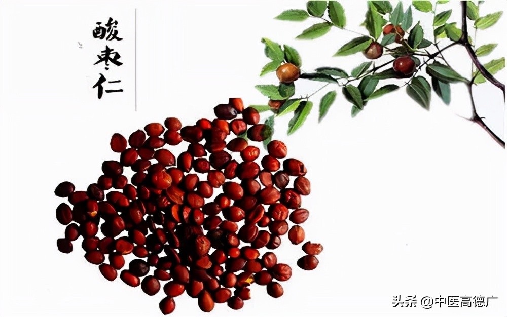 老中医说酸枣仁：养肝宁心，安神敛汗，治疗失眠最常用的中药
