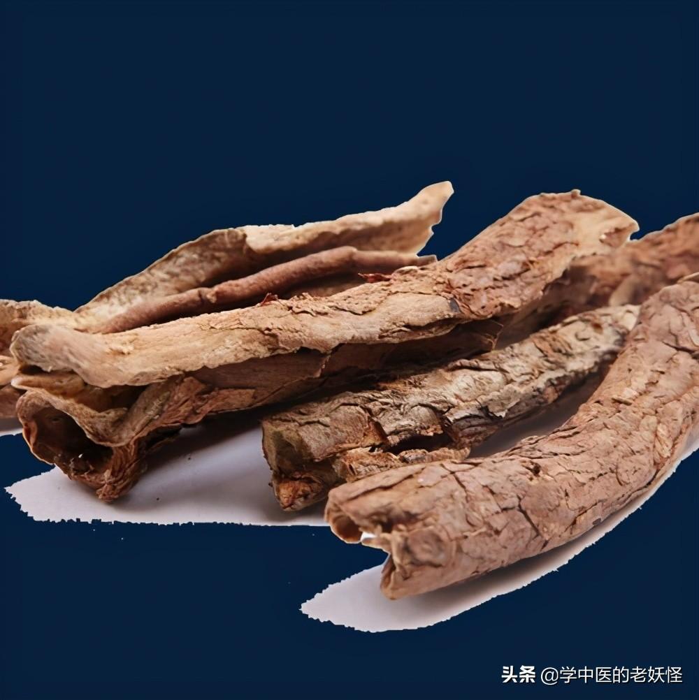 五加皮的功效与作用