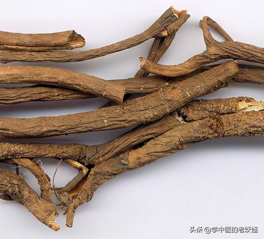 五加皮的功效与作用