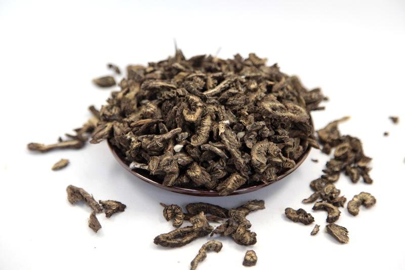 漏芦的功效与作用以及应用