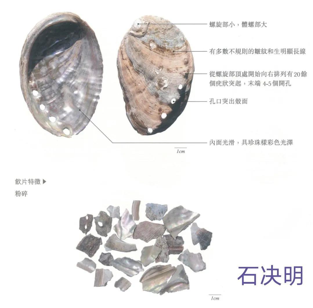 石决明的功效与作用，石决明的现代研究