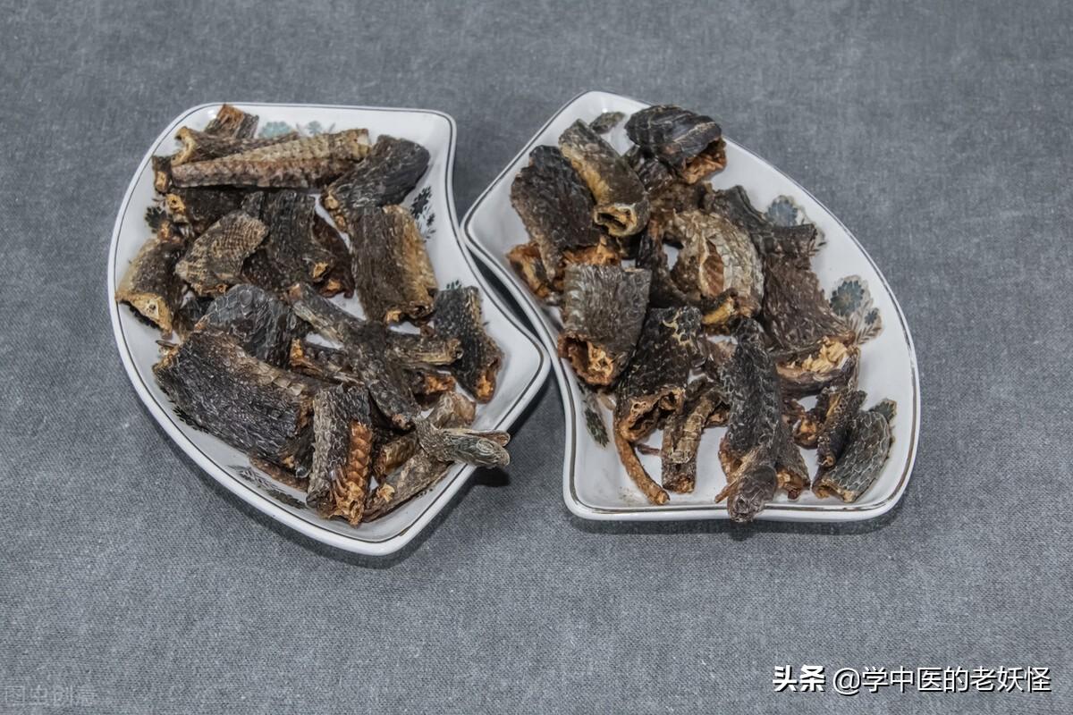 乌梢蛇的功效与作用（祛风通络的“乌梢蛇”）