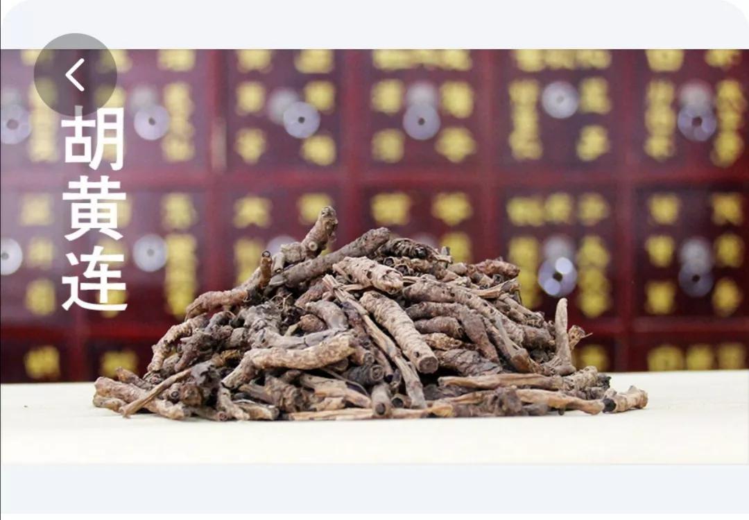 胡黄连的功效以及用量用法