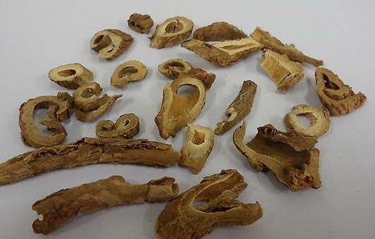 刺五加的功效与作用，刺五加的食用方法