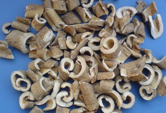刺五加的功效与作用，刺五加的食用方法