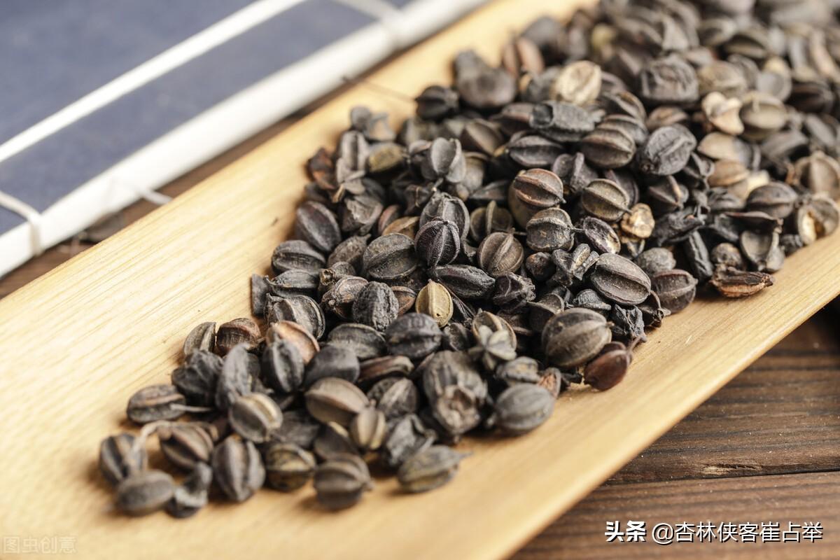 刺五加的功效，刺五加是上品药材