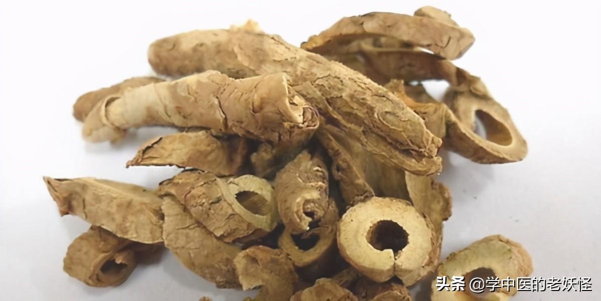 五加皮的功效与作用