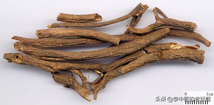 五加皮的功效与作用