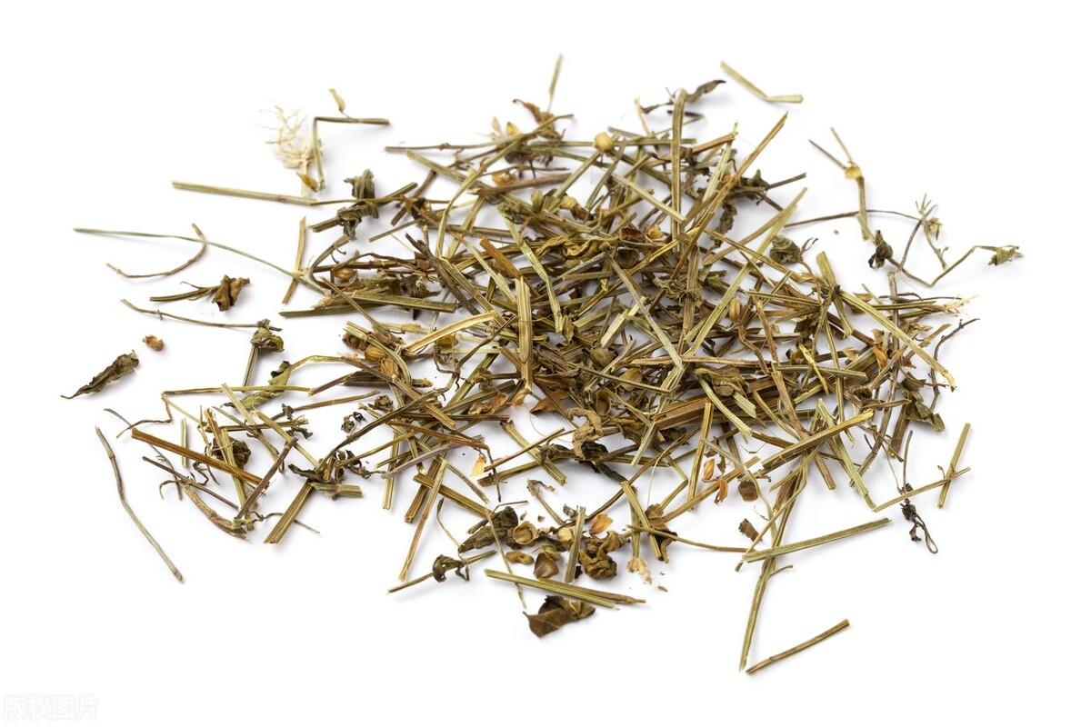 半枝莲的功效与作用，半枝莲与半边莲的区别