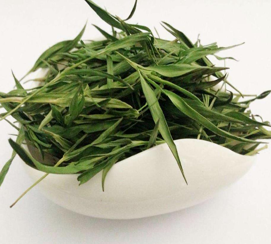淡竹叶的功效与作用，淡竹叶的成分作用和药理