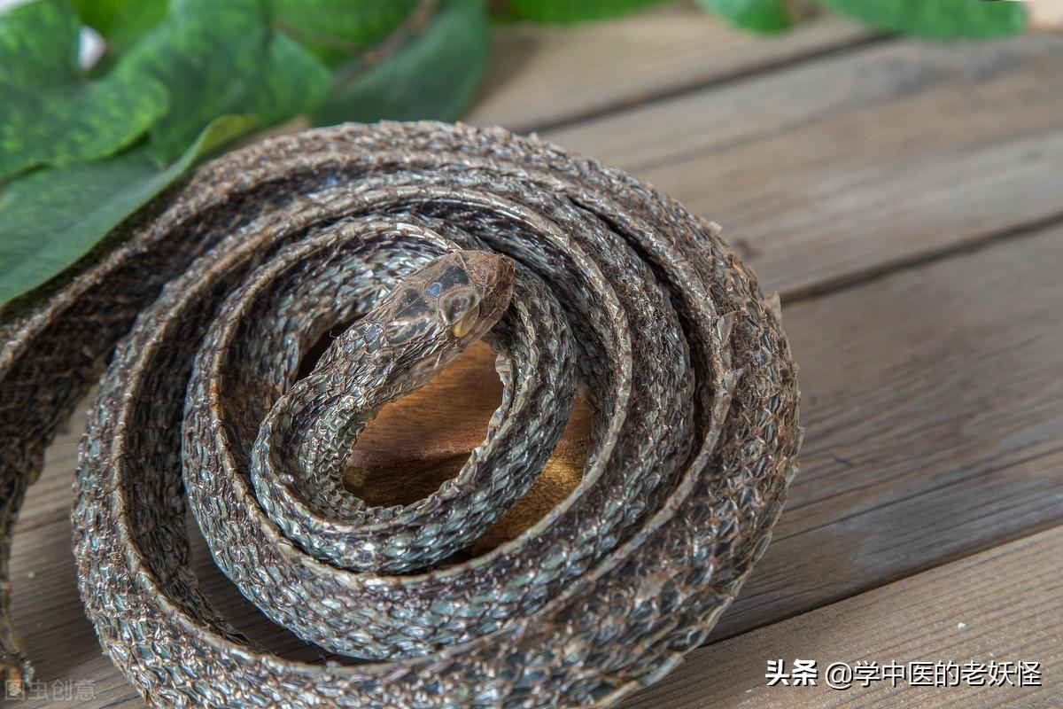 乌梢蛇的功效与作用（祛风通络的“乌梢蛇”）