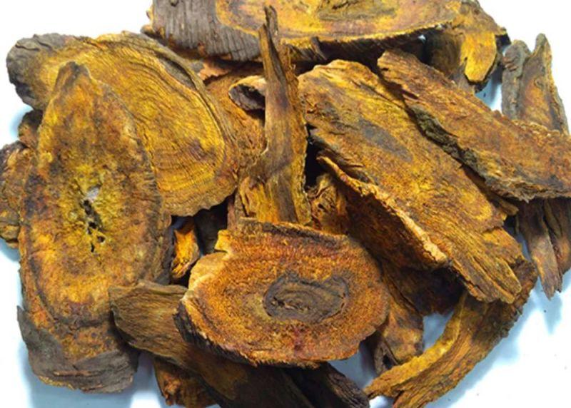 大黄的功效与作用和配伍以及用法用量