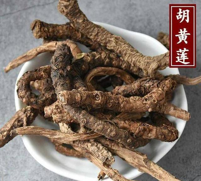 胡黄连功效与作用以及现代研究