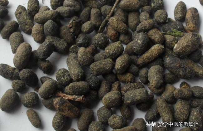 五灵脂的功效与作用，五灵脂的相关记载