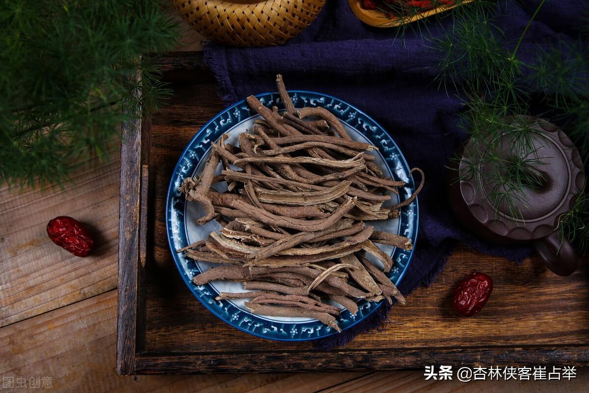 刺五加的功效，刺五加是上品药材