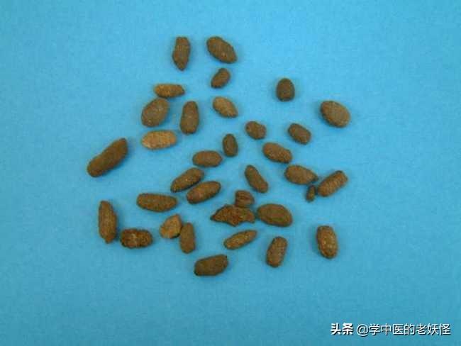 五灵脂的功效与作用，五灵脂的相关记载