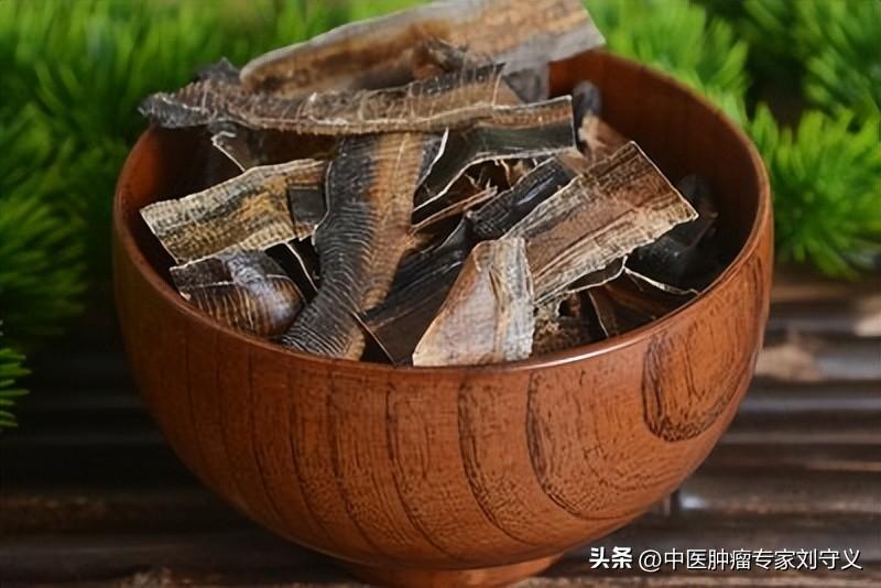 地龙的功效与作用与文献论述