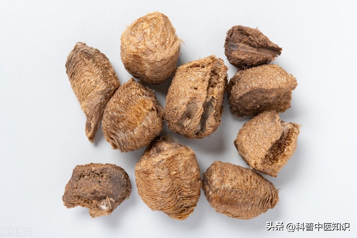 桑螵蛸的功效与作用（补肾固精、缩尿止带）