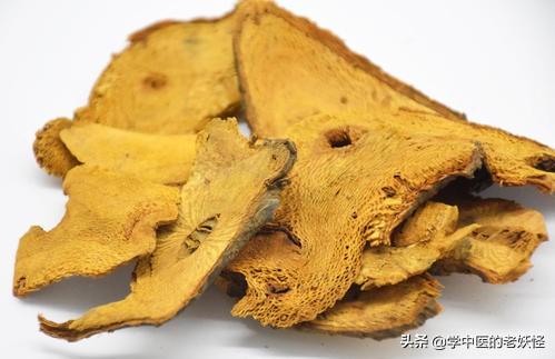 虎杖的功效与作用和典籍记载