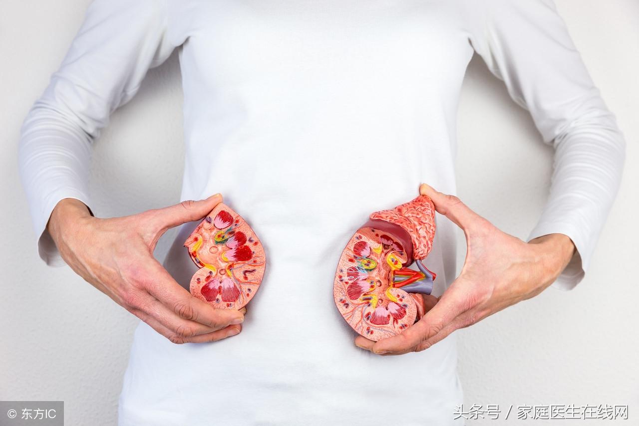 肾结石吃什么，肾结石患者不能吃什么?