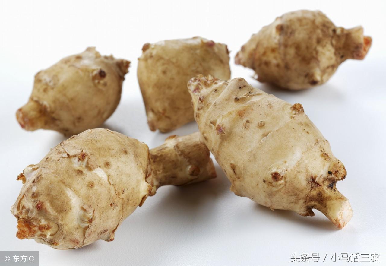 洋姜有什么功效与作用（排便通畅，防止便秘）