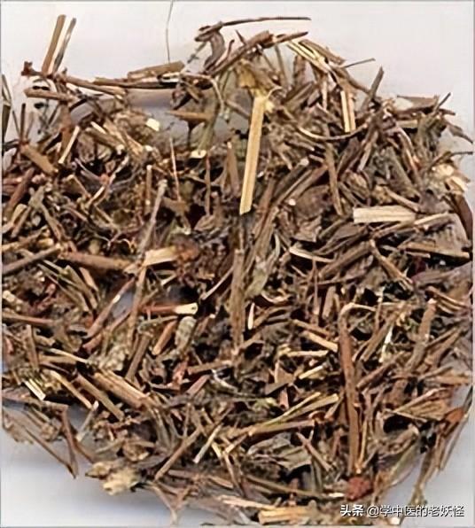 刘寄奴的功效与作用（疗伤止血的中药）