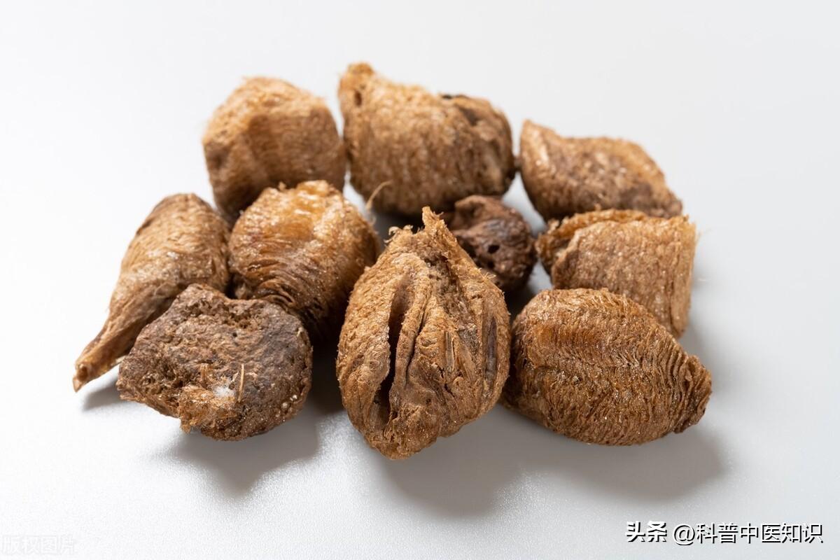 桑螵蛸的功效与作用（补肾固精、缩尿止带）