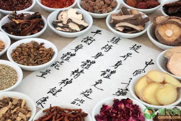 甘草的功效和作用（补脾益气，润肺泻火）