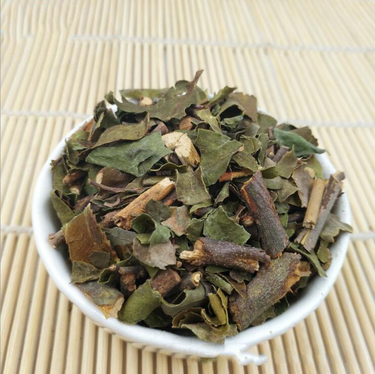 桑寄生的功效与作用以及典籍摘要
