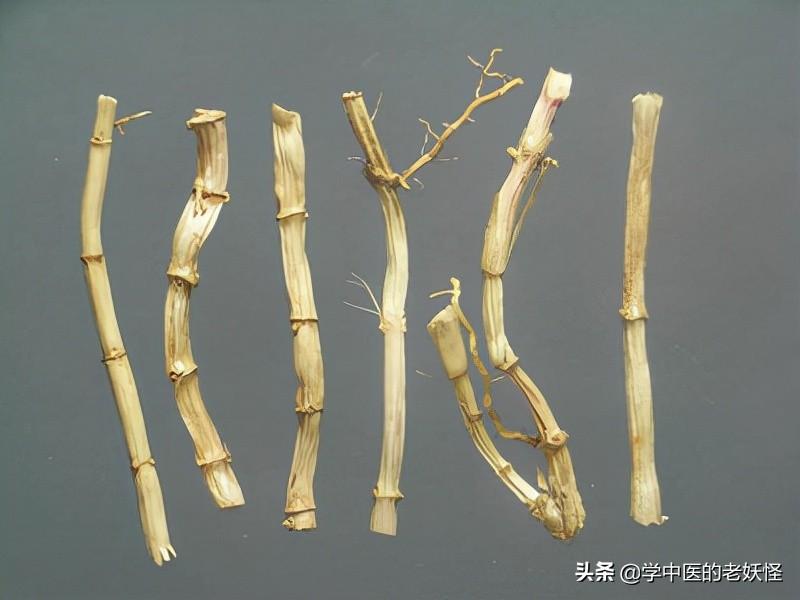 白茅根的作用与文献记载