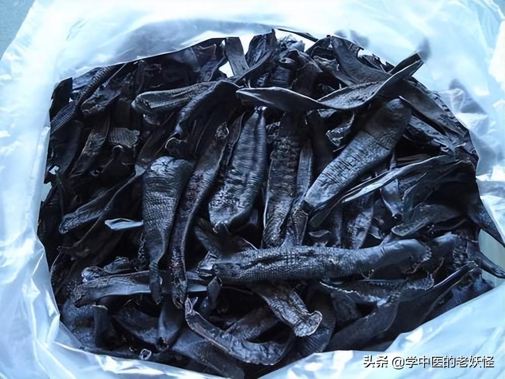 水蛭的功效与作用以及古籍摘要