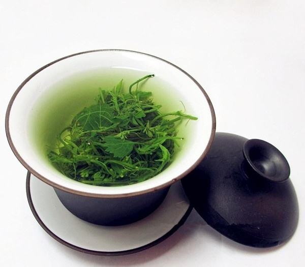 绞股蓝的功效，绞股蓝泡水喝的方法