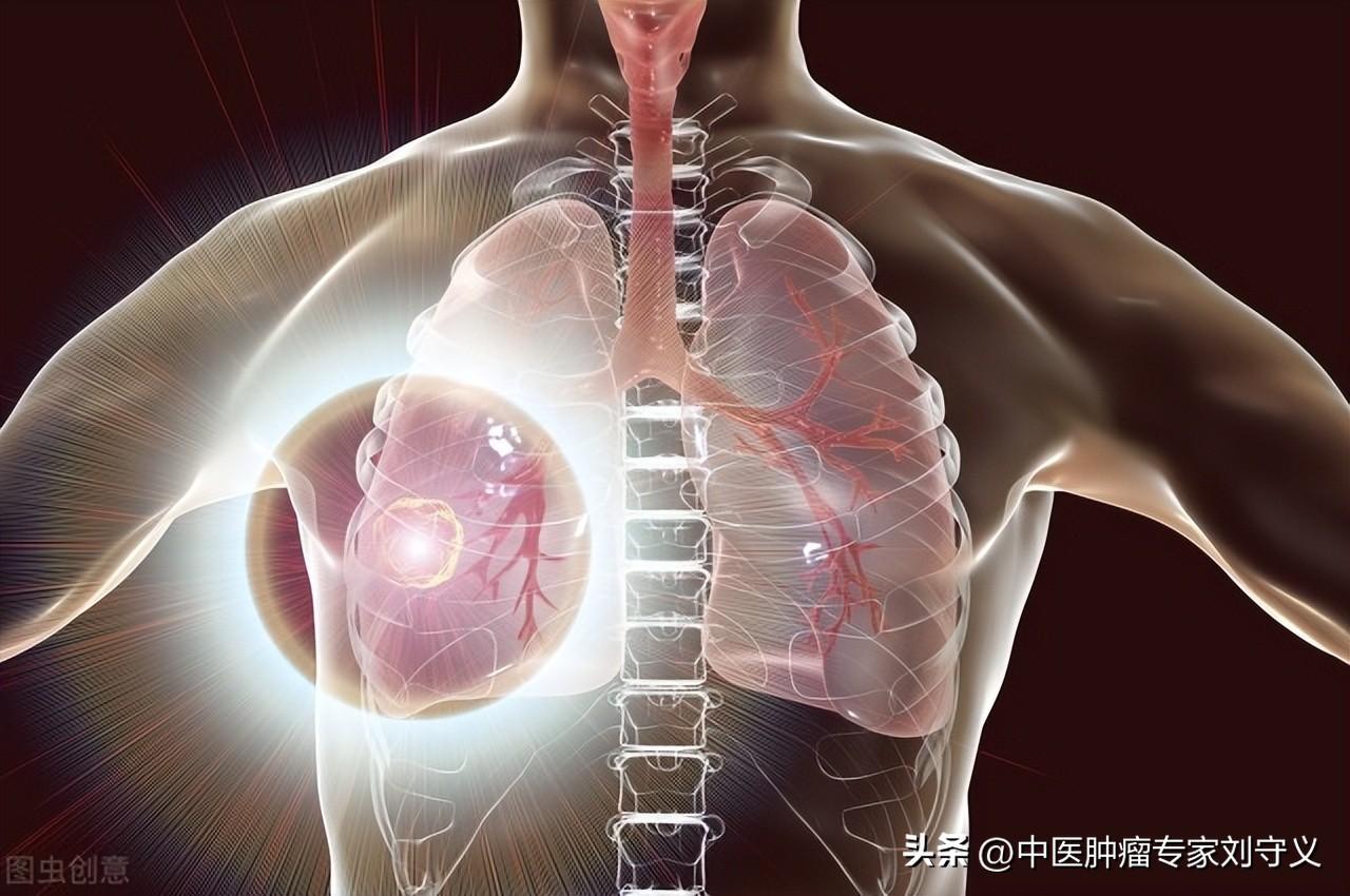 乌药的功效与作用（行气止痛，温肾散寒）