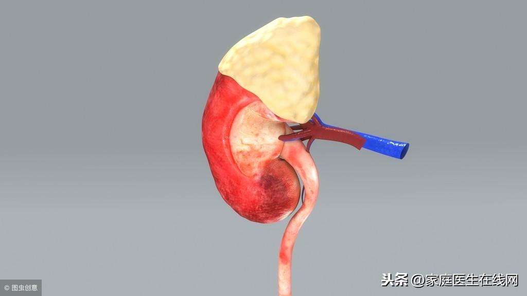 肾不好的表现，肾脏不适会有哪些症状？