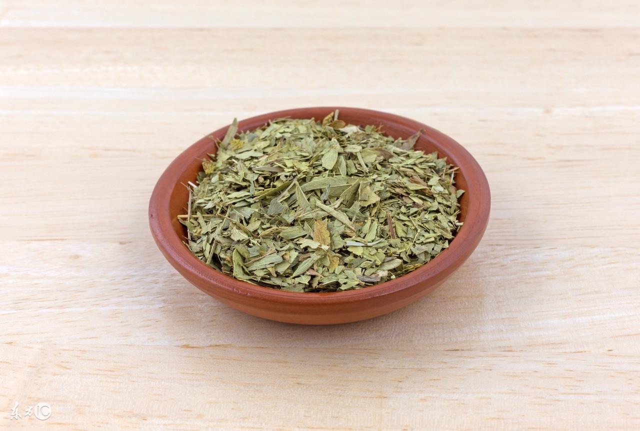 番泻叶功效与作用及注意事项