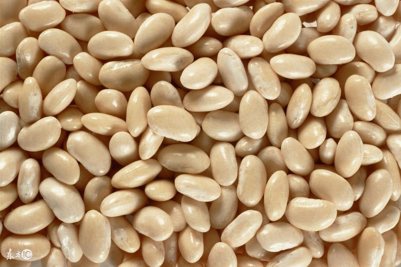 扁豆的功效与作用以及营养价值