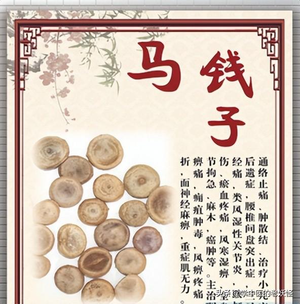 马钱子的功效与作用（散结消肿，通络止痛）