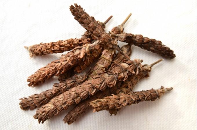 夏枯草的作用与功效（典籍摘要、现代研究）