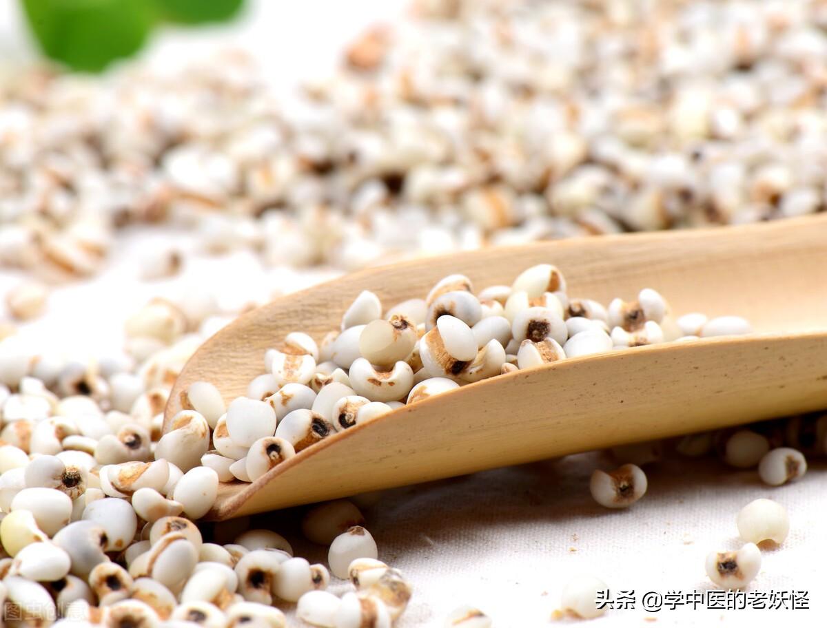 薏苡仁的功效（利水消肿药）