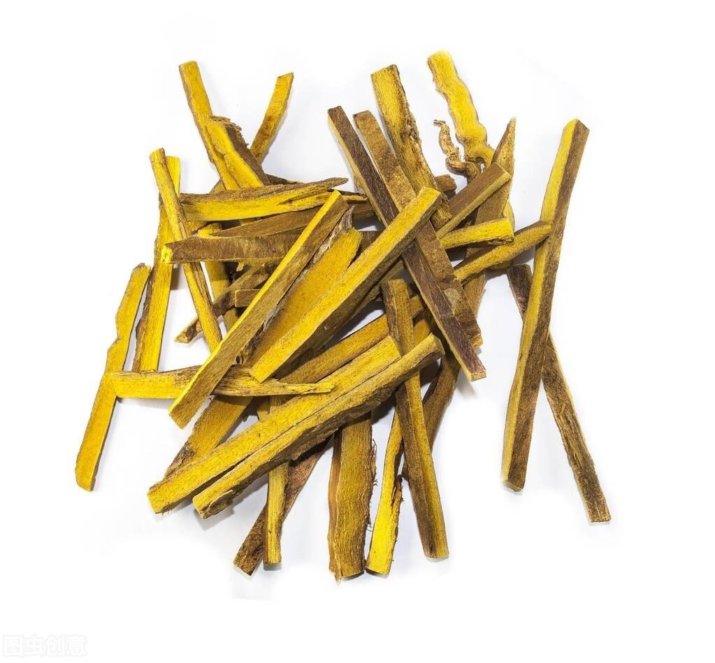 黄柏的功效与作用以及临证用方