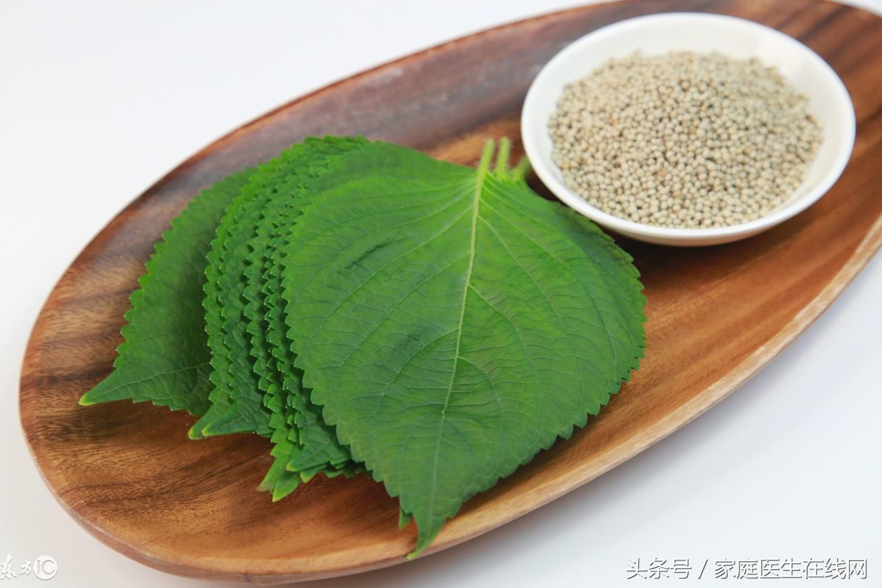 苏叶的功效与作用，苏叶的食用方法