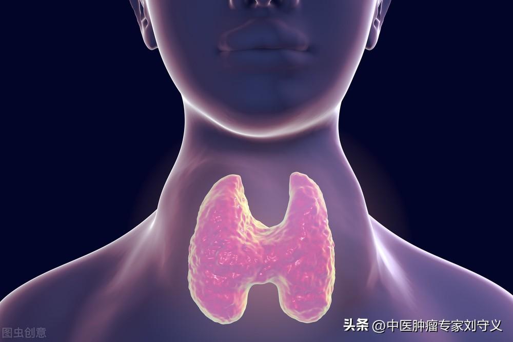 牡蛎的功效（化痰软坚，敛阴潜阳）