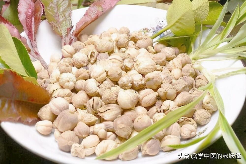 豆蔻的功效与作用（一味很好的化湿药）