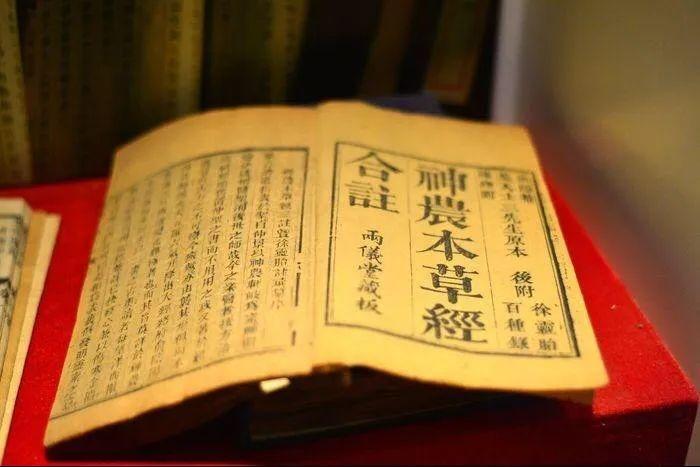 红景天的功效与作用（现代研究与古籍记载）