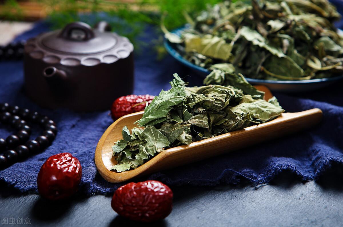 桑叶的作用与功效以及服用禁忌