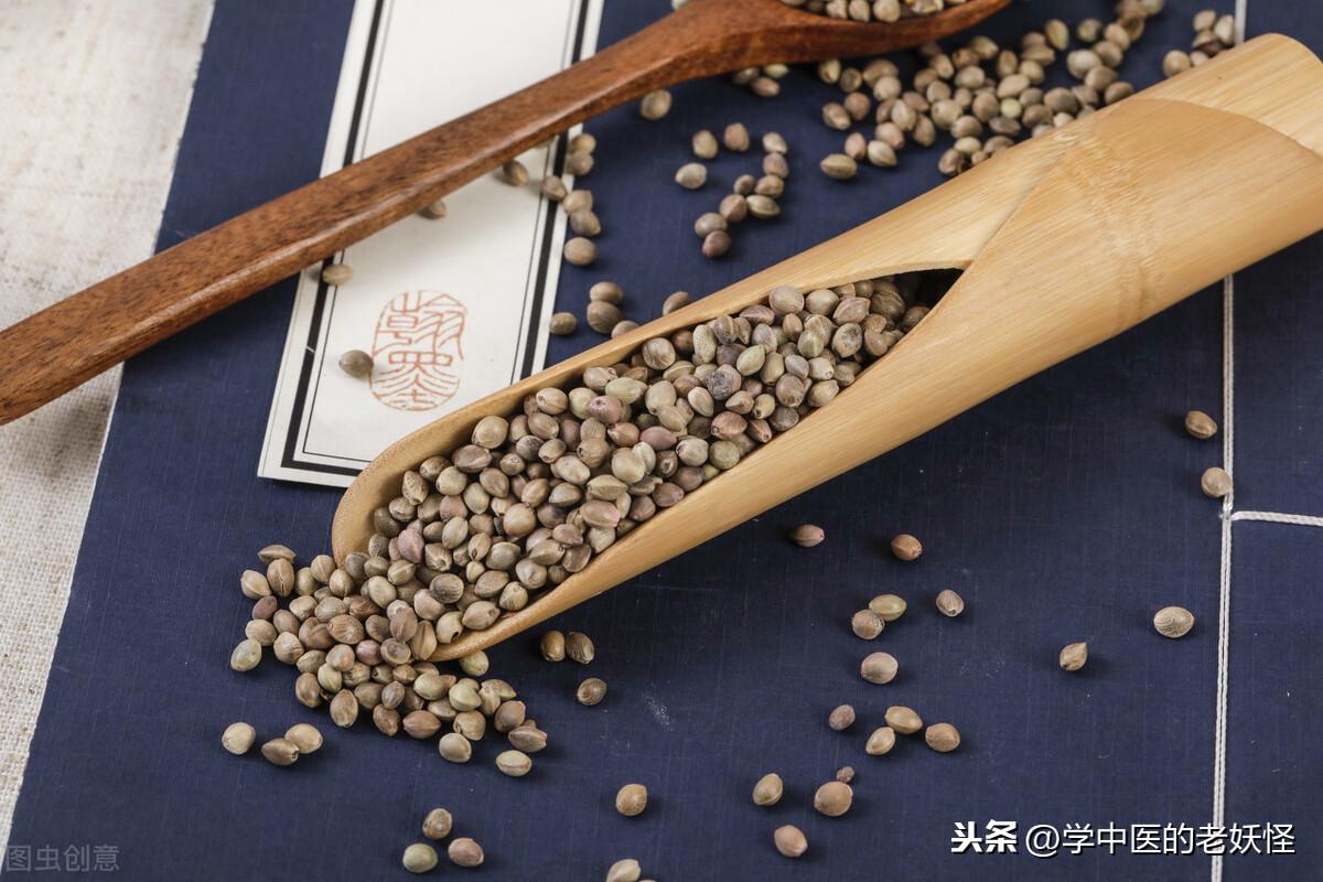 火麻仁的功效（补中益气、久服肥健）
